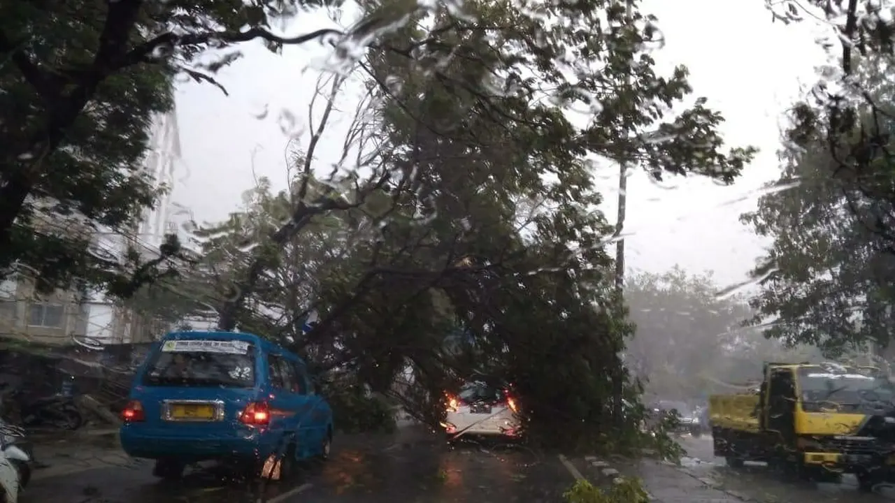 Puting Beliung Landa Bogor, 8 Rumah Rusak dan Pohon Tumbang