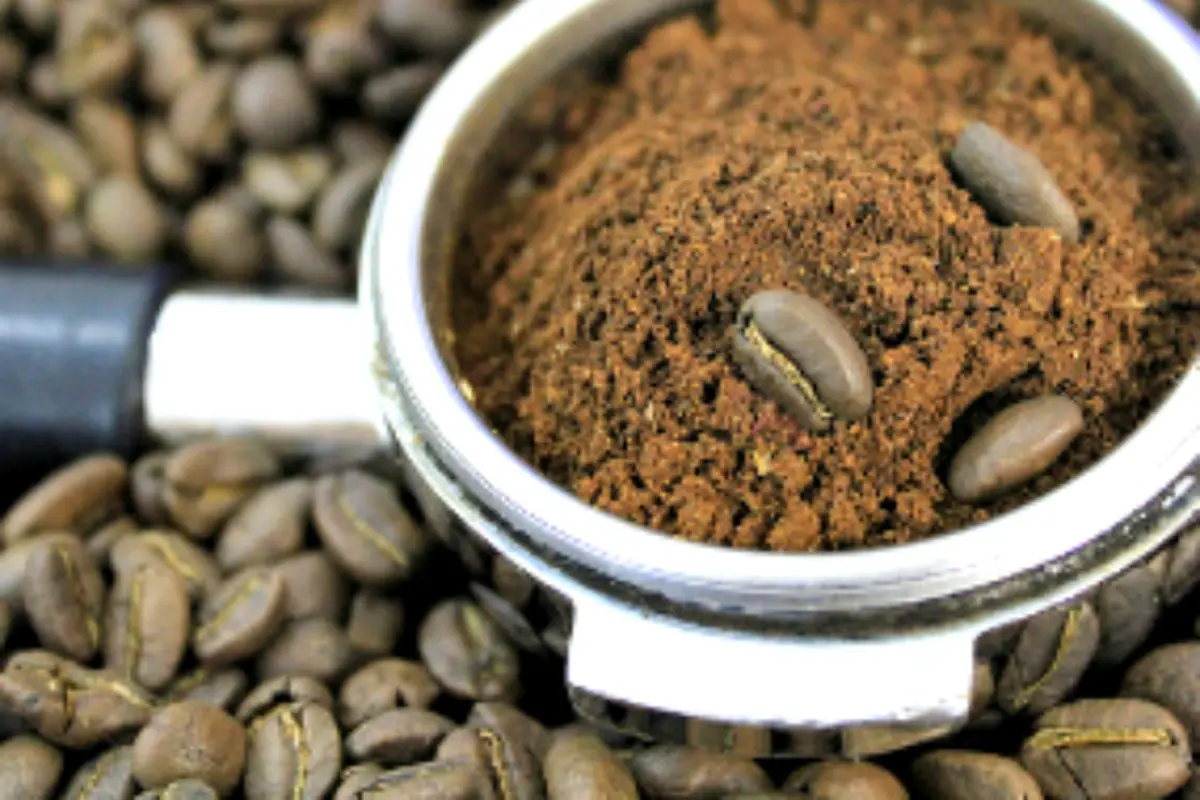 Bubuk Kopi
