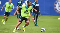 Terry: Fabregas akan Jadi Momok Arsenal