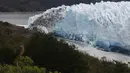 Seekor burung  terlihat di dekat dinding es raksasa dari Gletser Perito Moreno saat runtuh di Taman Nasional Los Glaciares, Argentina, Sabtu (10/3). Siklus pecahnya es ini tidak teratur dan berulang secara alami di setiap frekuensi. (Walter Diaz/AFP)