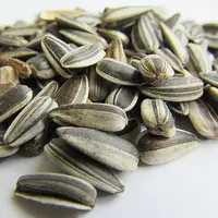 ilustasi kuaci/Image by Csaba Nagy from Pixabay