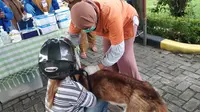 Sumatera Utara (Sumut) masuk 5 besar daerah di Indonesia dengan kasus positif rabies tertinggi