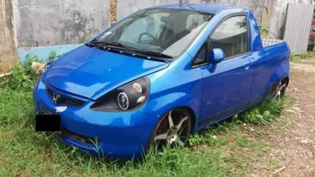 Kumpulan Potret Pikap Jadi-jadian, Cocok untuk Pengusaha? (ist)