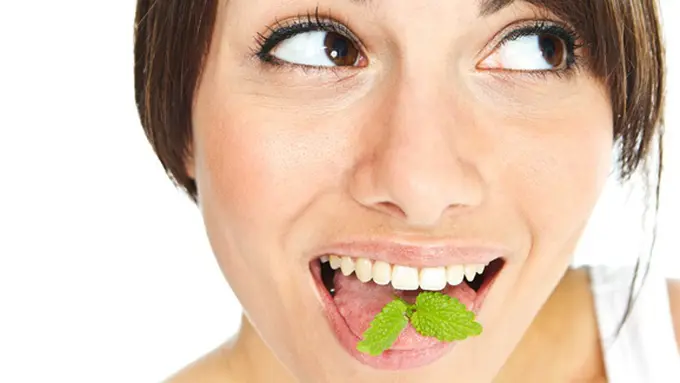 Foto: copyright thinkstockphotos.com