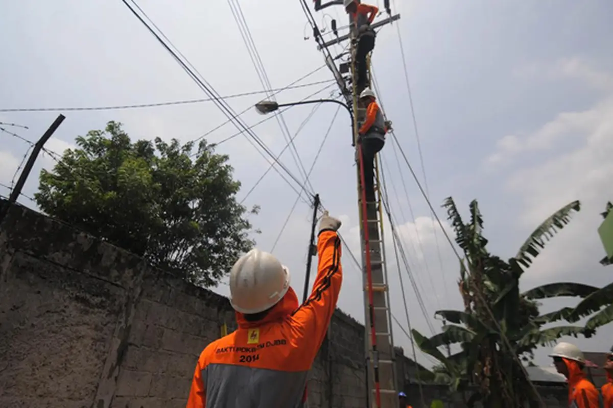 PLN 