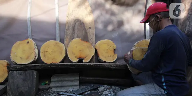 Produk Kayu Indonesia Dituding Dumping Amerika Serikat, Kemendag Bela Pelaku Usaha