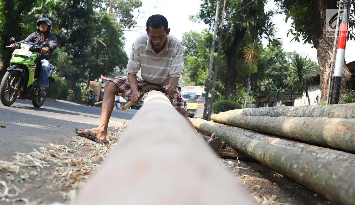 Pedagang menyerut batang pohon pinang yang dijual di kawasan Manggarai, Jakarta, Kamis (3/7). Pohon pinang tersebut dijual seharga Rp900ribu perbatang, yang banyak digunakan untuk meramaikan perlombaan perayaan HUT RI. (Liputan6.com/Immanuel Antonius)