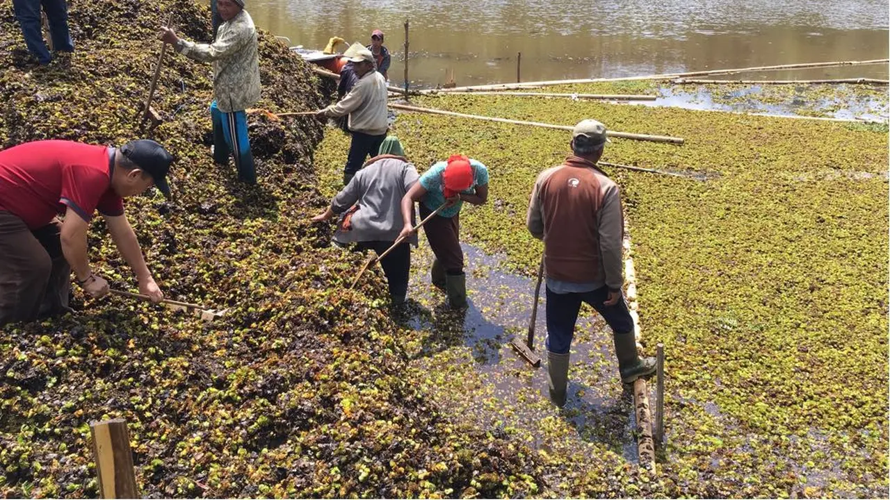 Gotong Royong di Lereng Gunung Semeru Bersihkan Ranupani