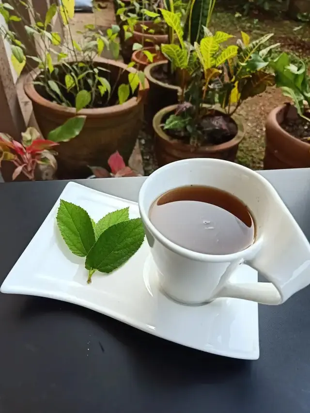 Teh Jahe Daun Kersen