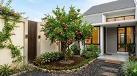 7 Pohon Buah Dekat Carport yang Aman untuk Pondasi Rumah, Jangan Salah Pilih agar Tak Menyesal