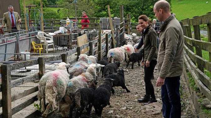 Duke of Cambridge Pangeran William bersama Duchess of Cambridge Kate Middleton saat berkunjung ke Deepdale Hall Farm, sebuah peternakan domba tradisional di Patterdale, Cumbria, Inggris, Selasa (11/6/2019). (Owen Humphreys/POOL/AFP)
