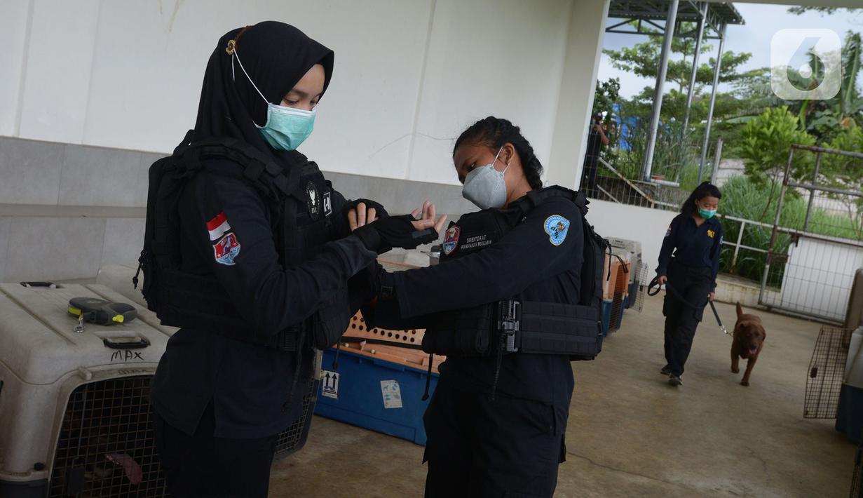 Pelatih K9 wanita Putri Istyan (kiri) bersama rekannya Widiya Hutahean (tengah) dan Nina Herlina (kanan) mempersiapkan  untuk latihan  di Markas Komando K9 BNN, Selasa (8/3/2022). (merdeka.com/Imam Buhori)