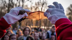 Acara tahunan ini berlangsung pada Sabtu 4 April 2026, saat senja di sebuah taman alam di pinggiran kota Kyiv, Ukraina. Tampak dalam foto, seorang sukarelawan dari pusat rehabilitasi kelelawar Ukraina menunjukkan sayap kelelawar yang diselamatkan kepada orang-orang sebelum melepaskan kelelawar tersebut kembali ke alam liar di Kyiv, Ukraina, Sabtu, 4 April 2026. (AP Photo/Dan Bashakov)