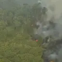 30 Hektare Api di Way Kambas Belum Padam