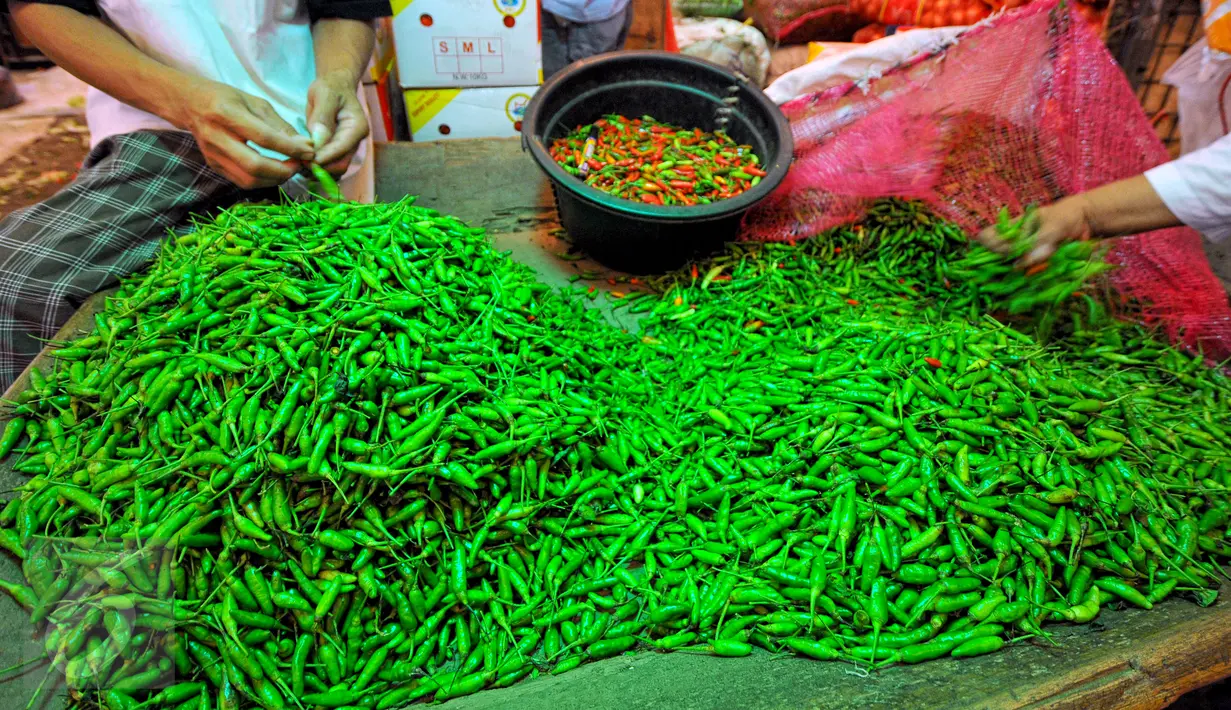 Aktivitas para pedagang cabai di  Pasar Induk Kramat Jati, Jakarta, Jumat (19/6/2015). Harga Cabai Hijau naik dari harga Rp12 ribu menjadi Rp15 ribu/kg. (Liputan6.com/Yoppy Renato)
