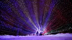 Pengunjung berjalan di dalam hiasan cahaya lampu di sebuah taman di Minsk, Belarus (28/12). Setelah matahari terbenam, orang-orang berdatangan untuk menikmati pameran cahaya lampu yang dipasang di seluruh taman. (AP Photo/Grits Sergei)