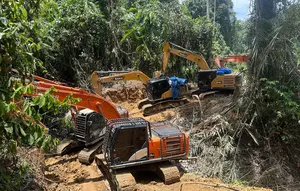 24 Warga Asing Terjerat Penambangan Emas Ilegal Gunung Botak