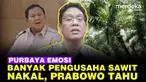 Menteri Keuangan Purbaya Yudhi Sadewa mengungkapkan temuan, selama ini banyak perusahaan sawit nakal yang tidak bayar pajak penuh.