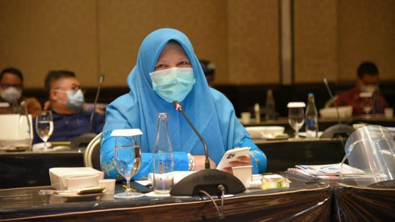 Anggota Komisi VI DPR RI Nevi Zuairina