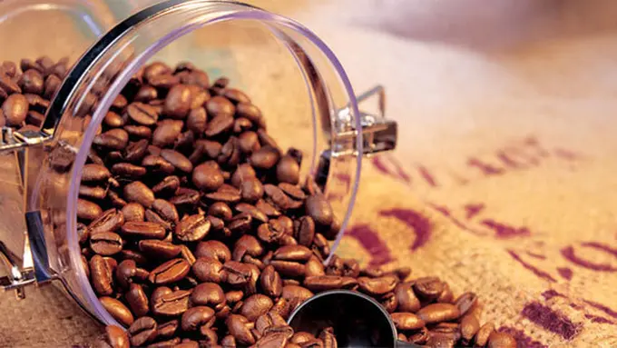 copyright by shutterstock.com