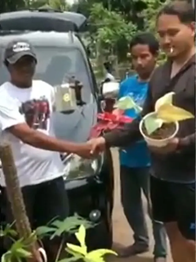 Viral, Pria Ini Rela Tukar Mobil Miliknya Demi Beli Tanaman Hias