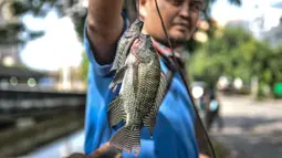 Warga menunjukkan ikan hasil memancing di Kali Ancol, Jakarta Utara, Kamis (11/3/2021). Kali Ancol menjadi wisata alternatif warga, terutama bagi yang hobi memancing untuk menghabiskan waktu liburan. Selain orang dewasa, sejumlah anak-anak pun terlihat asyik memancing di Kali Ancol. (merdeka.com/Iqb
