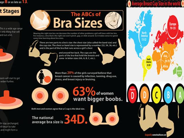 4 Tahapan Perkembangan Payudara Yang Dimulai Sejak Usia 8 Tahun Health Liputan6 Com