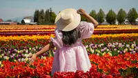 45 Spring Inspirational Quotes for a Fresh Start