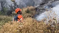 Kendala Pemadaman Kebakaran Gunung Butak