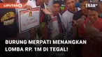 Kemenangan seekor burung merpati Rubicon milik tim Mutiara berhasil jadi juara 1. Kemenangan itu diraih dalam Presiden Cup di Lapangan Padel, Desa Getaskerep, Tegal, Minggu (17/09/2023)
