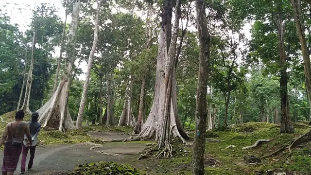 Candi Koto Mahligai Muarajambi
