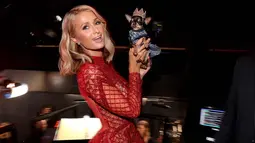 Paris Hilton berpose bersama anjing Chihuahua peliharaannya sebelum ke atas panggung iHeartRadio Music Awards 2018 di Inglewood, California, (11/3). Paris Hilton tampil cantik dengan busana merah transparan di acara tersebut. (AFP Photo/Christopher Polk)