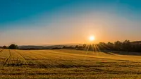 Sunrise Quotes: 40 Words to Light Up Your Morning