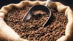 Meski dikenal dengan kopi Robusta namun ternyata kopi jenis Arabica dari Indonesia lebih banyak menarik para penggemar kopi asal Eropa.