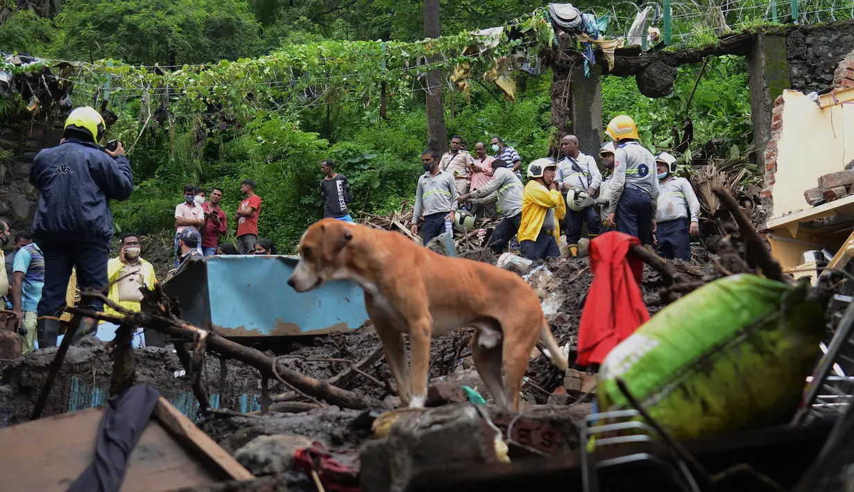 Pasukan Tanggap Bencana Nasional dan tim penyelamat lainnya memeriksa lokasi tanah longsor di daerah kumuh di Mumbai, India, Minggu (18/7/2021). Sebanyak 18 orang tewas setelah beberapa rumah hancur oleh dinding yang runtuh dan akibat tanah longsor yang dipicu oleh hujan lebat. (Sujit Jaiswal/AFP)