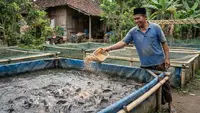 7 Cara Membuat Sistem Pembesaran Lele Bergilir agar Bisa Panen Hampir Setiap Bulan