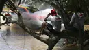 Warga menanfaatkan pohon sebagai tempat aman untuk menyaksikan balapan Dakar Rally Dakar 2017 Stage 1 dari Asuncion menuju Resistencia di  Argentina (2/1/2017). (AFP/Franck Fife)