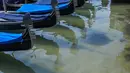 Perairan yang lebih jernih terlihat saat sejumlah gondola terparkir di Grand Canal Venesia pada 17 Maret 2020. Sejak Italia memberlakukan lockdown akibat pandemi virus corona, air di Kanal Venesia yang biasanya keruh dan gelap berubah menjadi jernih. (ANDREA PATTARO / AFP)