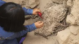 Seorang arkeolog bekerja di situs arkeologi Cajamarquilla, di mana enam mumi anak-anak ditemukan di Cajamarquilla, dekat Lima, Peru pada 13 Februari 2022. Menurut para arkeolog, mumi tersebut berusia antara 800 hingga 1.200 tahun. (Guadalupe Pardo / AFP)
