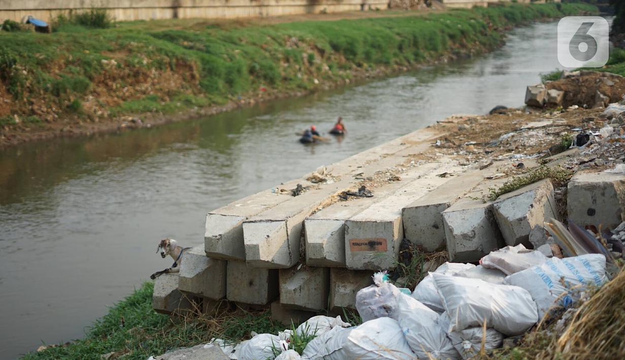 Tiang pancang menghiasi bantaran Sungai Ciliwung di kawasan Rawajati, Jakarta, Rabu (30/10/2019). Tiang-tiang pancang itu merupakan sisa proyek normalisasi Sungai Ciliwung dan telah berada di bantaran tersebut selama beberapa tahun terakhir. (Liputan6.com/Immanuel Antonius)