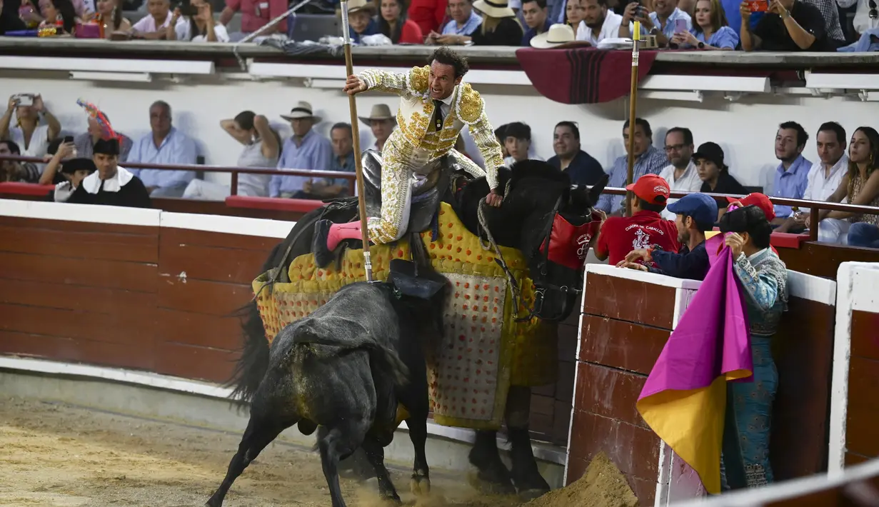Matador Spanyol Antonio Ferrara tampil selama adu banteng di arena adu banteng Canaveralejo dalam rangka Festival Cali di Cali, Kolombia (27/12/2022). (AFP/Joaquin Sarmiento)