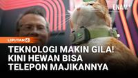 Teknologi Makin Gila! Kini Hewan Peliharaan Bisa Telepon Majikannya