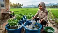 Ternak Ikan dan Keong di Ember untuk IRT yang Tinggal Dekat Sungai, Tips Kemandirian Pangan