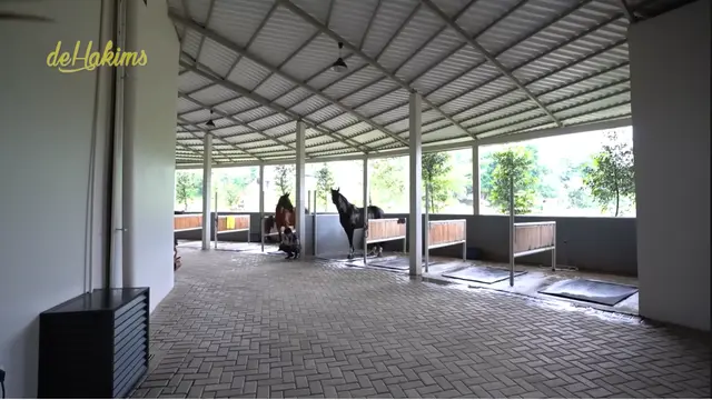 Stable Kuda Nabila Syakieb
