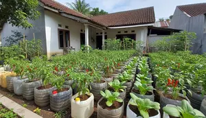 8 Rekomendasi Tanaman Sayur dan Buah yang Cocok Ditanam di Galon Bekas, Mudah Dirawat dan Panen Banyak