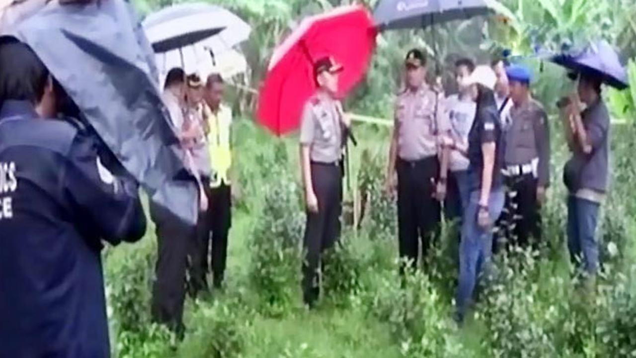 (Lip6 Malam) Kebun-Cathinone