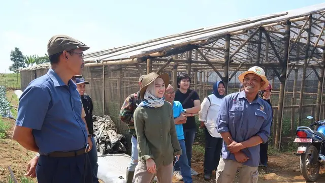 Cocok Jadi Duta Petani Milenial, Ini 6 Potret Melody Laksani Ikut Program Pertanian di 2019