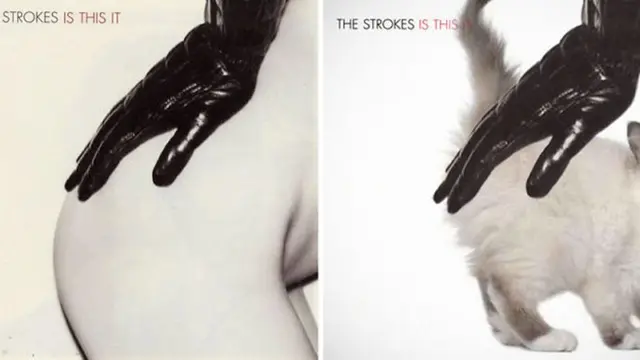 [Bintang] Ketika 10 Cover CD Ini Modelnya Diganti Sama Kucing! Gemas Parah!