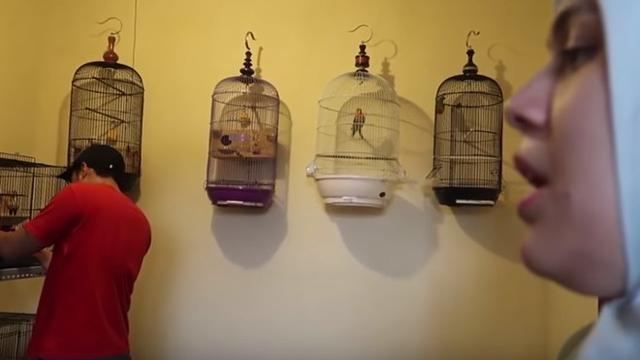 Potret 5 Kandang Hewan Peliharaan Selebriti, Tak Kalah Mewah