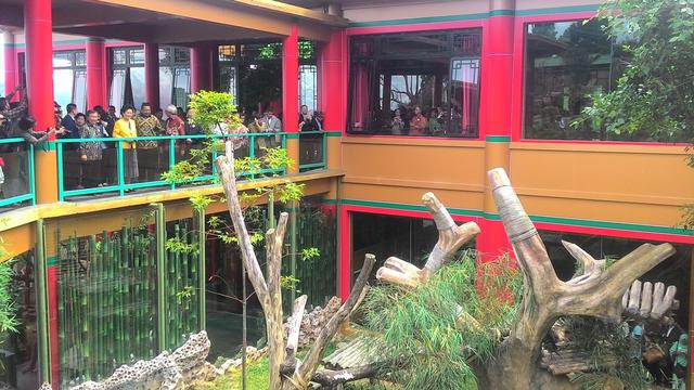 Ditengok Wakil Pm Tiongkok Panda Di Taman Safari Terlihat